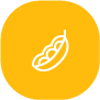 SOIA  (posibil) 